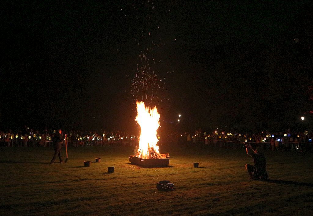 Feuer im Park